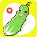 老a视频app