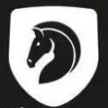 我们的传奇_logo